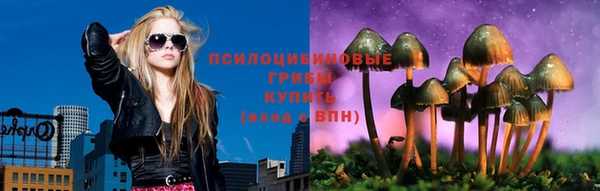 прущие грибы Нея