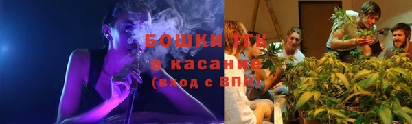прущие грибы Нея