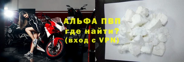прущие грибы Нея