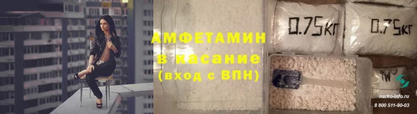 прущие грибы Нея