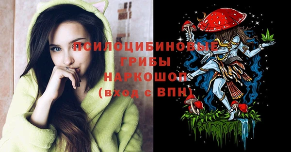 спиды Нефтекумск