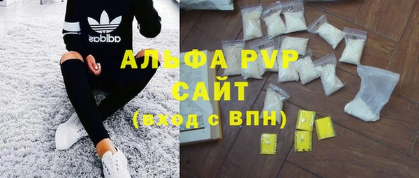 прущие грибы Нея