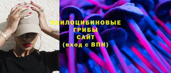 прущие грибы Нея