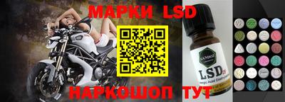 ешки Гай