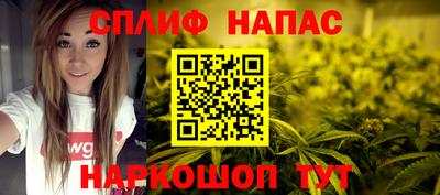 ешки Гай