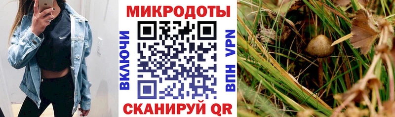 Псилоцибиновые грибы MAGIC MUSHROOMS  Костомукша 