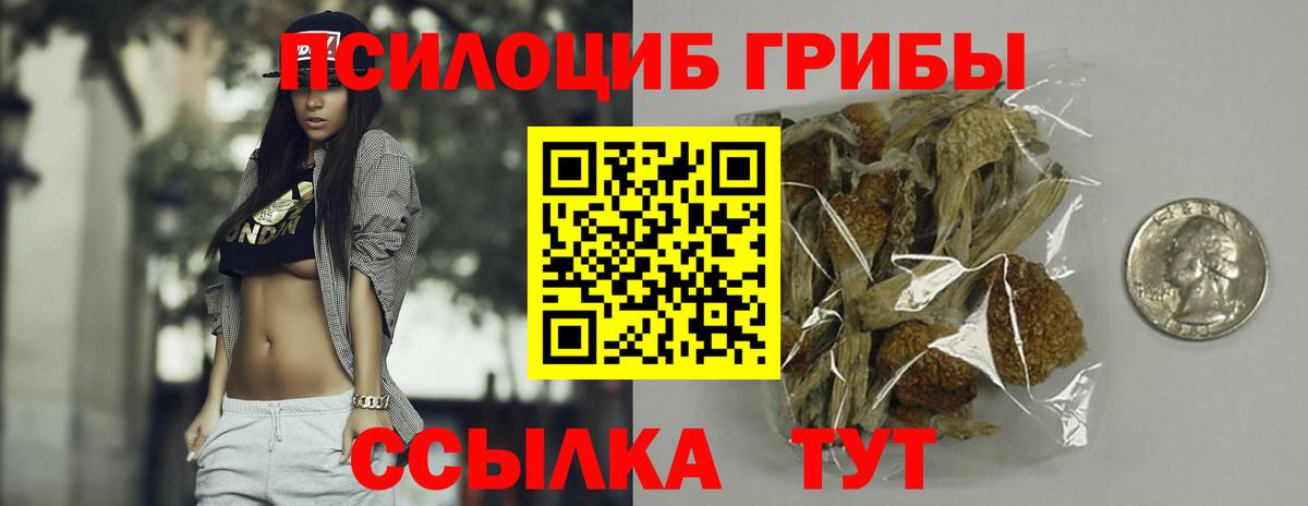 Костомукша  цены   Вход с VPN  Галлюциногенные грибы Cubensis 